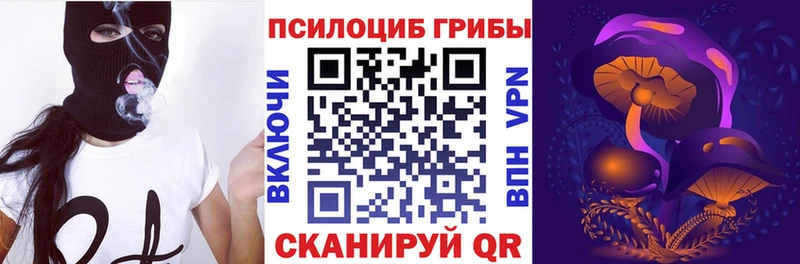 даркнет формула  Елизаветинская  Псилоцибиновые грибы Psilocybe 